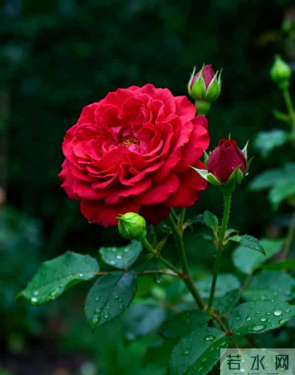 这四个星座年底运势要起飞！抓住机会，迎来人生新转折