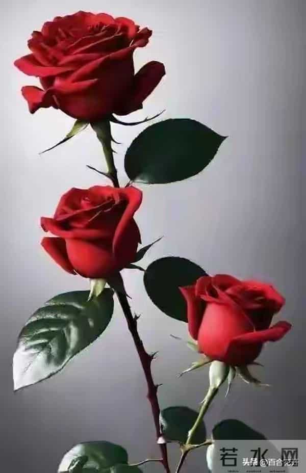 切记：人过60，永远不要在熟人面前，说以下几句话，谁说谁后悔