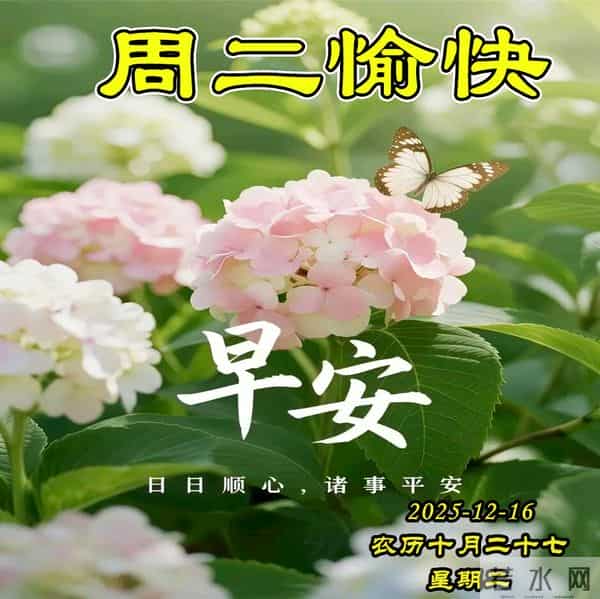 周二早安图片-安康是岁月的馈赠，笑容是不变的陪伴。