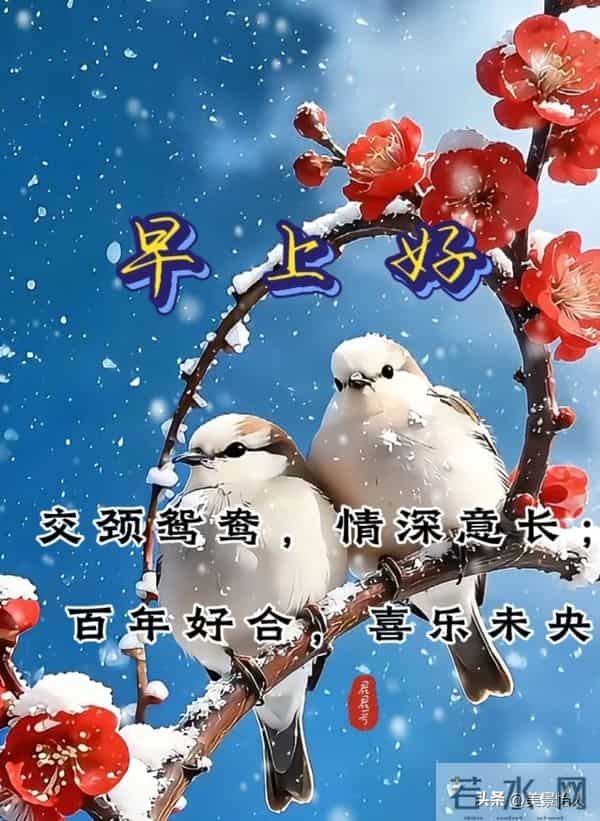 2025.12.15号周一早安祝福美图