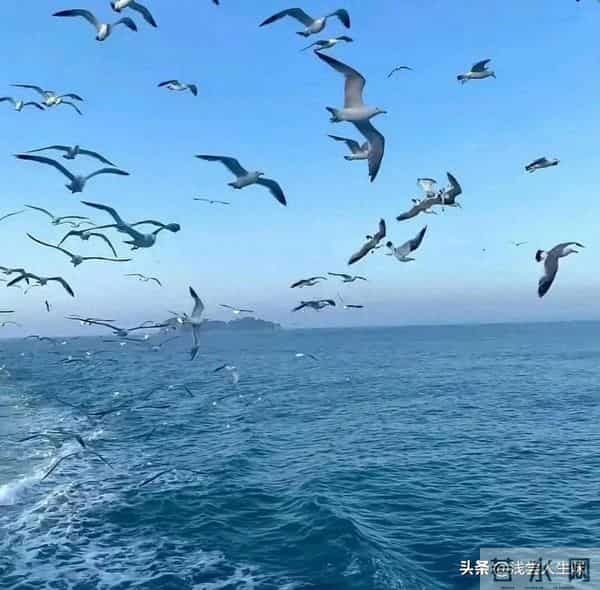 人到60才想通：60岁离开和90岁离开，差的不是30年，而是整个人生