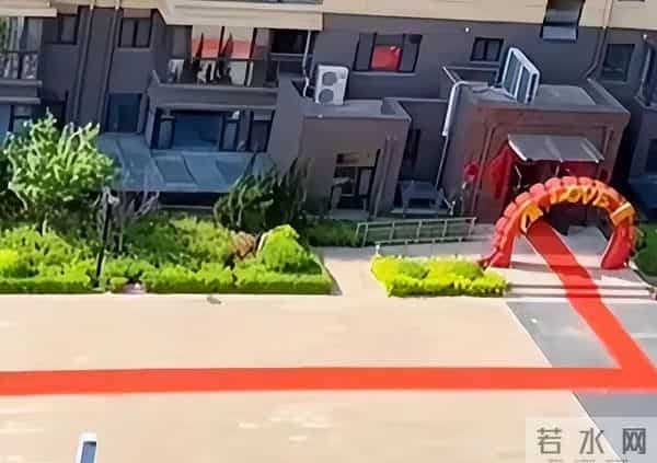 她至死都在道歉,可她的家人,却在她死后,做法太伤人了!