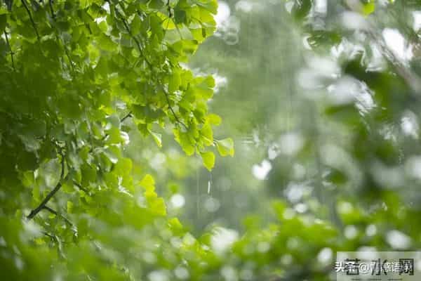 男女关系升温，试试这3步“肢体撩拨”，中年男人必修课！