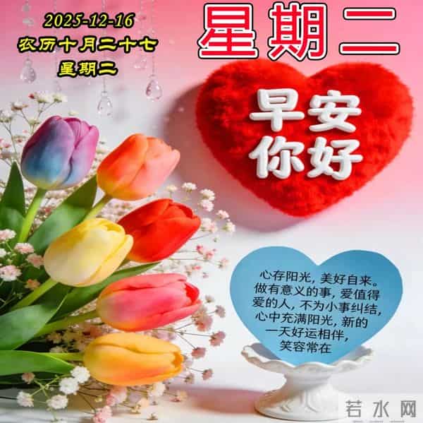 早安周二美图-问候是美丽的鲜花，惦记是情感的升华。