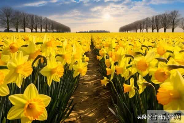 开心是一天，不开心也是一天，所以为什么，就不能开心一点