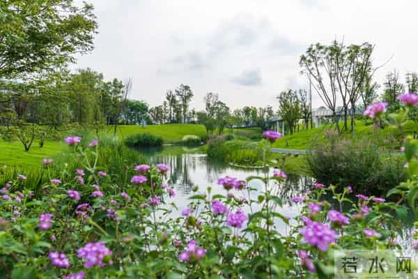 水瓶座：不出10日，必有好事发生在你身上