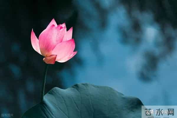 我24岁就成了寡妇,单身公公让我喝下一杯酒,醒后我笑出了眼泪