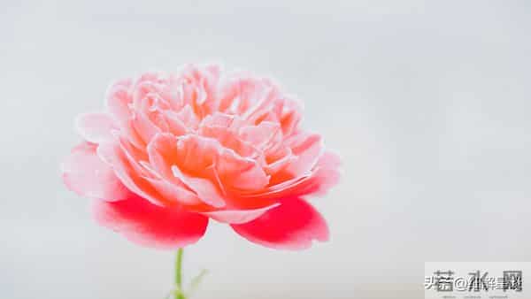 12月16日星期二，卯兔，可能会有有事发生