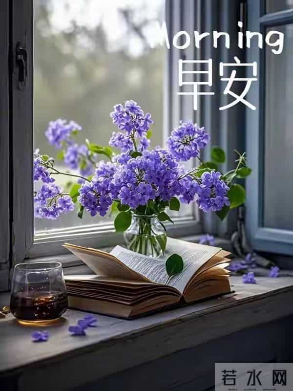 2025.12.16 冬天周二早安愉快！最新精美周二早上好温馨祝福语图片