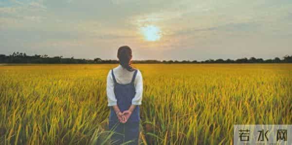 八十年代的婚姻（12）