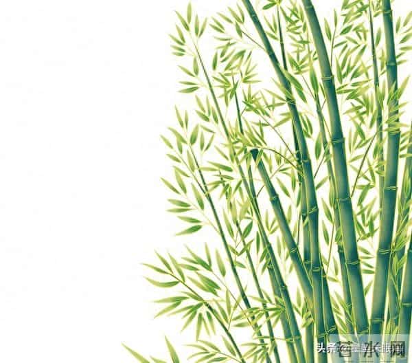 两性关系，男人没老婆，生活一地鸡毛，女人没男人，照样风生水起