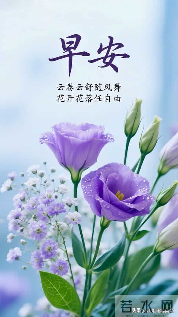 早安- 问一声冬安，添一件暖衣，愿寒风绕路，暖阳常栖