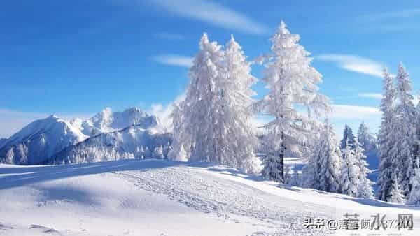 我24岁就成了寡妇,单身公公让我喝下一杯酒,醒后我笑出了眼泪