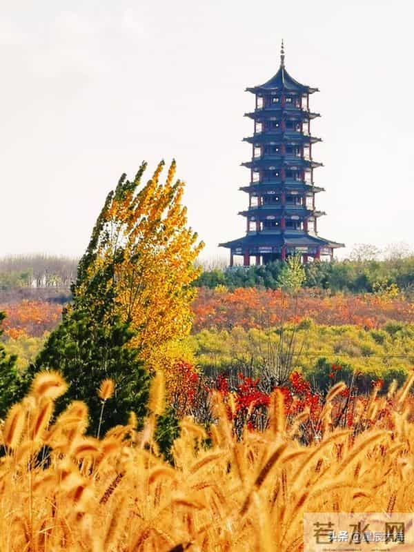 惊人的因果关系：男女之间，一旦发生了暧昧关系，一辈子也忘不了