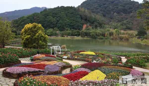 两性关系-55一65岁黄金十年，最高级的惜命，是修好这6颗“心”