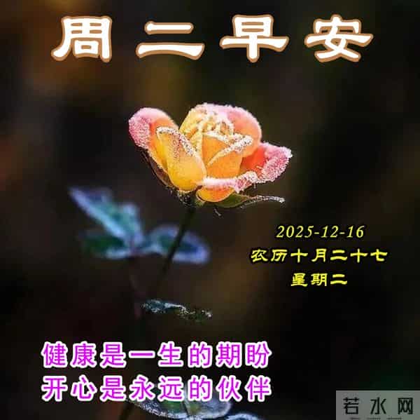 周二早安美图-一个问候，快乐启航，一个祝福，心情舒畅