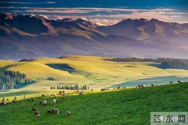 2026年,最容易做成大事的三个星座