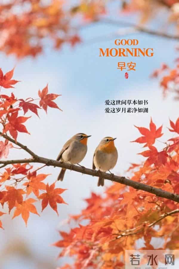 12月的早安问候这样发,去迎接所有的幸运和美好。