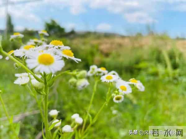 背叛者假性回归，会有三种表演！看穿别拆穿，做好3件事就赢了