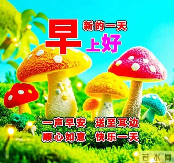 早安～快乐打工人，又是被梦想叫醒的一天，奔向周一，且行且从容