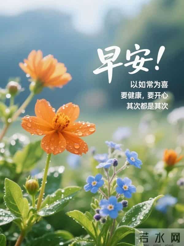 19句温馨早安祝福,晨光送暖入心怀,愿你岁岁无忧,四季安然