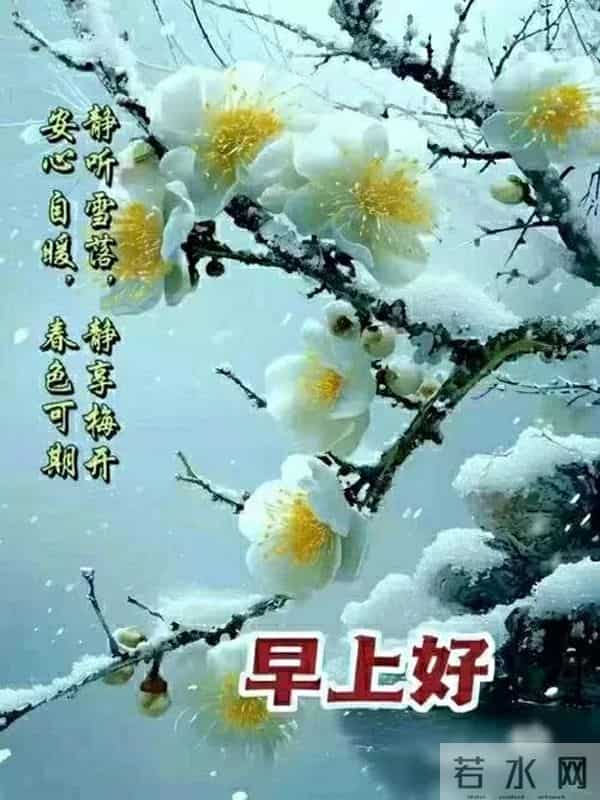 早上好早安祝福美图-冬藏福气，岁有余庆