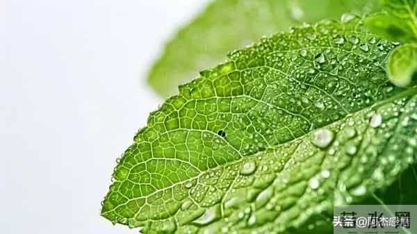 两性关系，女人可以搂着睡，亲她的嘴，但千万别全信她说的话