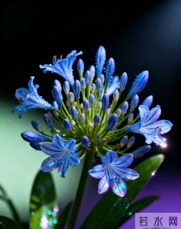 这四个星座年底运势要起飞！抓住机会，迎来人生新转折