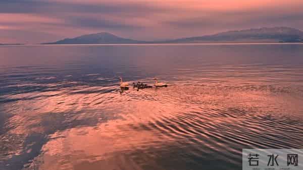 人过六十才明白:能混到以下几点,就算成功,该知足了