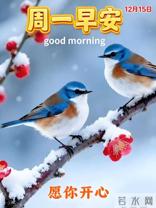 朋友圈最受欢迎的早安句子，干净治愈，适合冬天周一早上发朋友