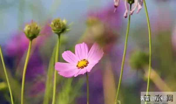 和女人相处久了才懂:除了生理需求,她们更渴望这3种深层满足
