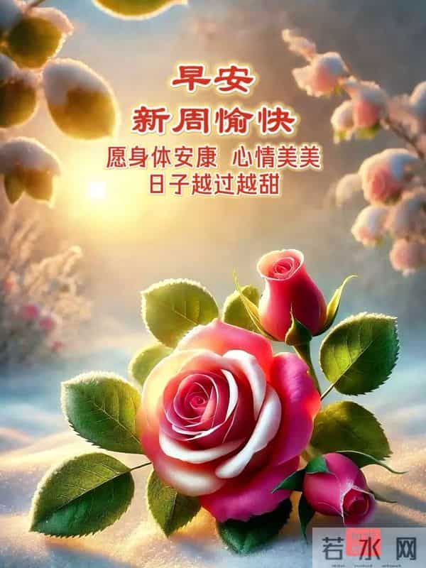 周二早安图片-盼你时时怀暖意，一路花开向朝阳！