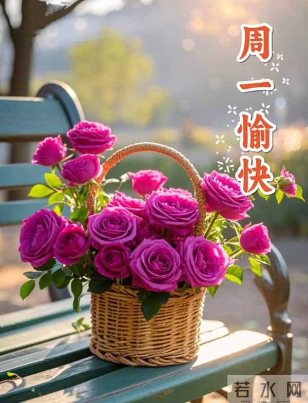 早安！新的一周，愿你的笑容比昨天更灿烂，生活比想象更美好！