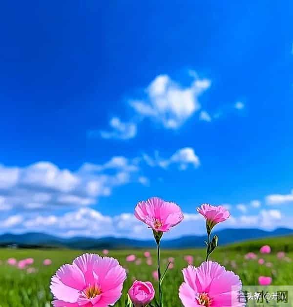 男女无论在一起多久，女人只要有“两不”，那就是不爱了！