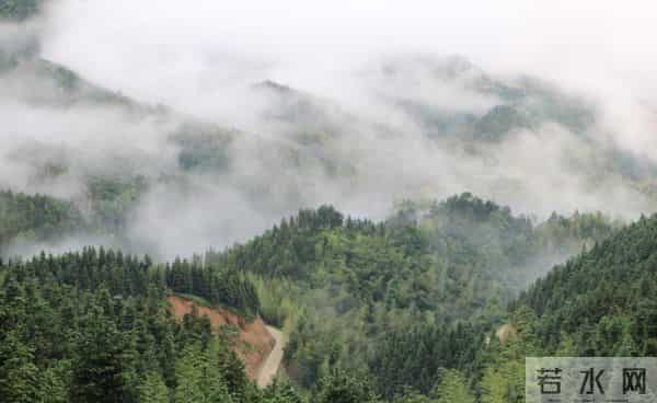 为什么借钱的人，总是不愿意还钱？心理学上有一个答案