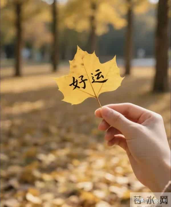 生肖狗！今天过后，你将涅槃重生，告别所有磨难，人生从此大不同