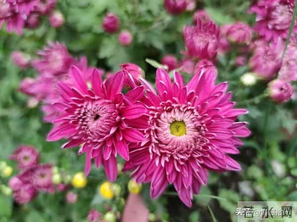 从今天起，所有霉运全部清零！未来日子，全是顺风顺水、别忘接收