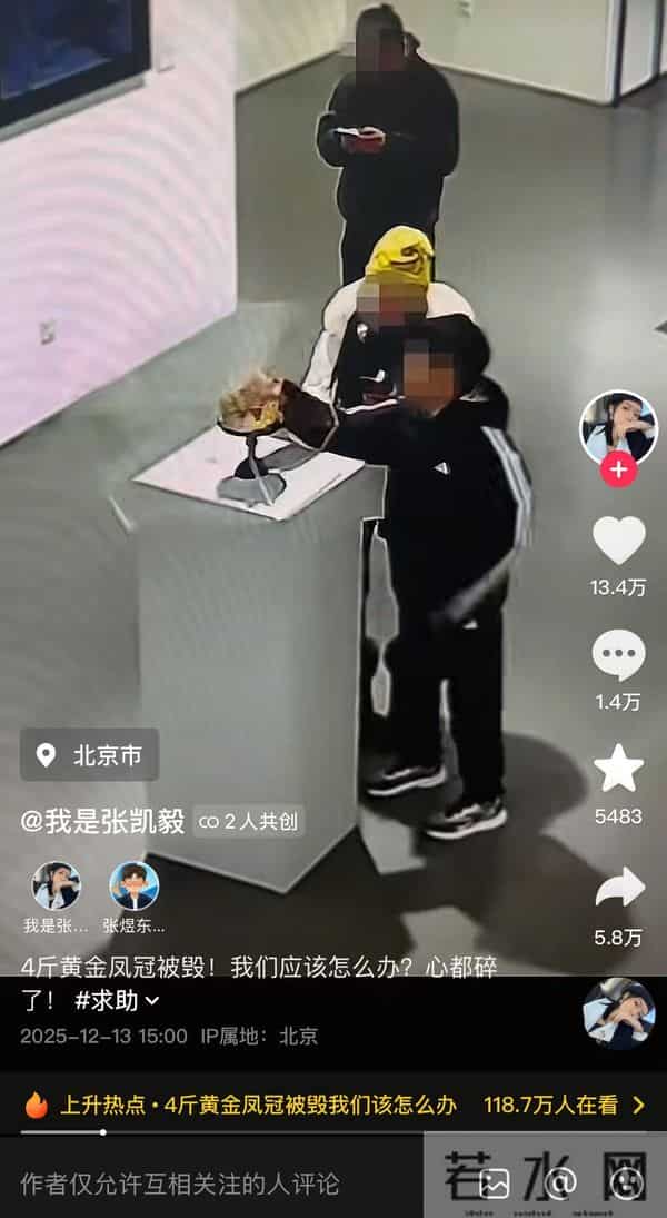 4斤黄金凤冠在免费展览中被男童触碰损坏，办展美术馆：罩子是没有固定的，律师分析