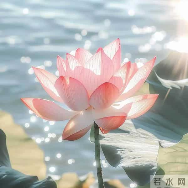 2026 旺 自 己 微 信 头 像