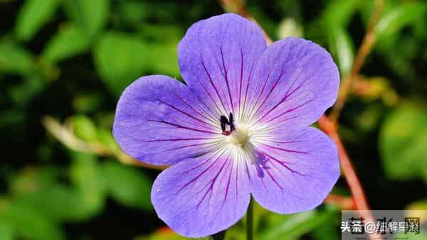 第三名：水瓶座，12月15号，接下来14天，得跟你说句大实在话！