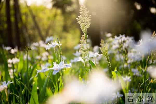 摩羯座请注意！两个“闯入者”已就位，一个助你，一个耗你