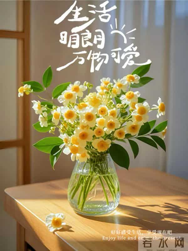 12月15日早上好 早上好温馨问候图片 早安图片最新今天 早安吉祥