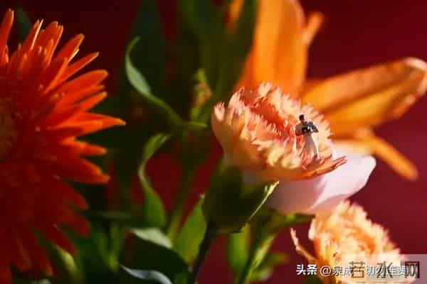 夫妻到了七十岁,还能同居,只有三种情况