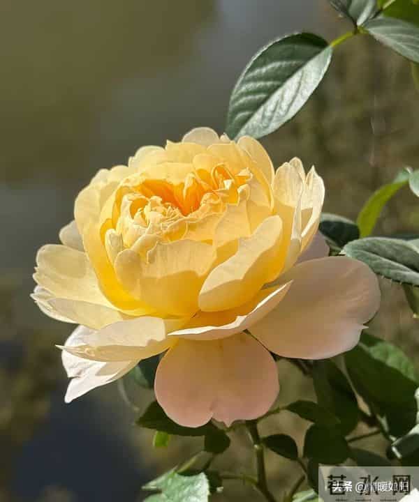 两性关系：不会走散的情人，都守着这3大规律