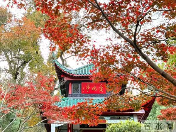 我55岁，找了个62岁男搭伙过日子，发现：男人永远当自己是“宝”