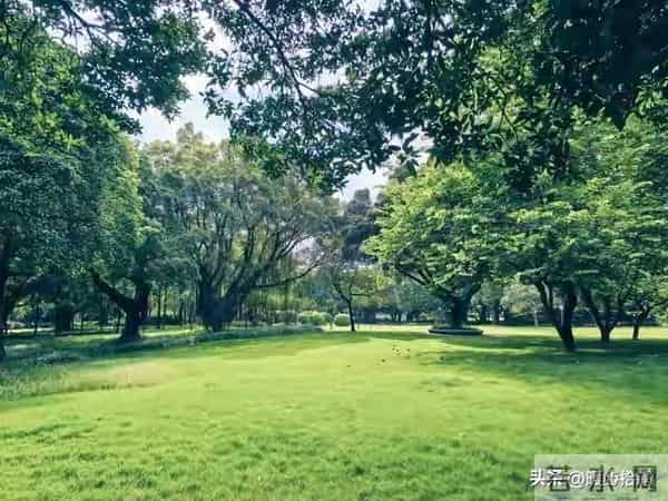 两性关系:如何在早上起床发一句,让异性惦记你好几天,别不懂!