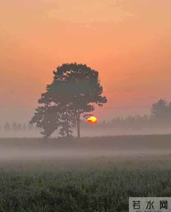 为什么借钱的人,总是不愿意还钱