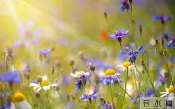 人到了一定年纪,你要知道一个道理,天大的事,只要顺其自然…