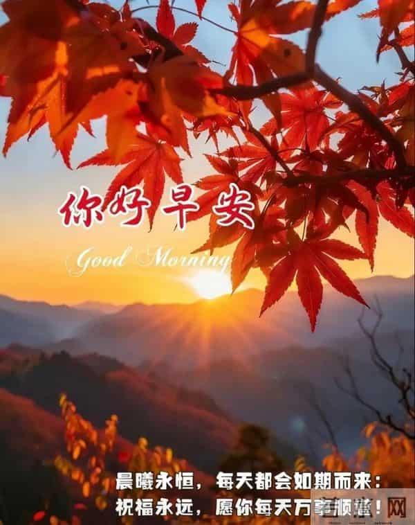 2025.12.15冬天周一早安愉快！最新精美周一早上好温馨祝福语图片