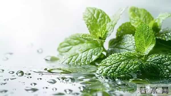 两性关系，女人可以搂着睡，亲她的嘴，但千万别全信她说的话